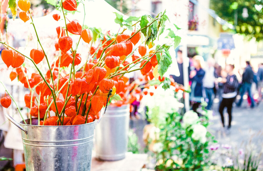 Pflanzenmarkt im Freilichtmuseum am Kiekeberg