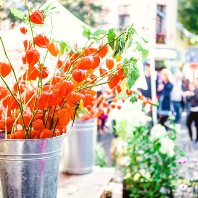 Pflanzenmarkt im Freilichtmuseum am Kiekeberg